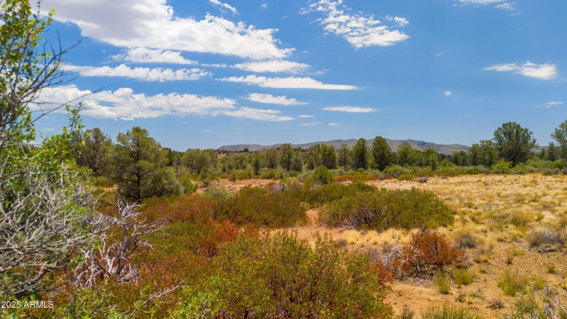 Peeples Valley 43 Acres