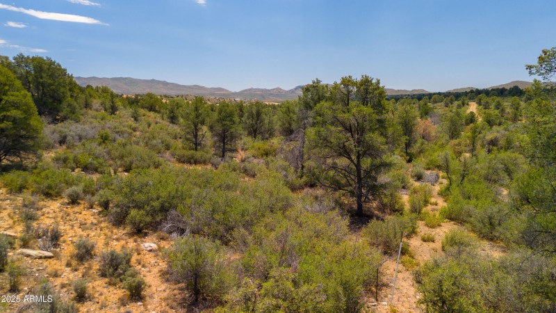 Peeples Valley 43 Acres