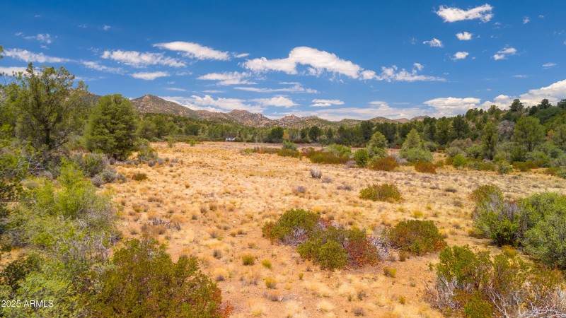 Peeples Valley 43 Acres