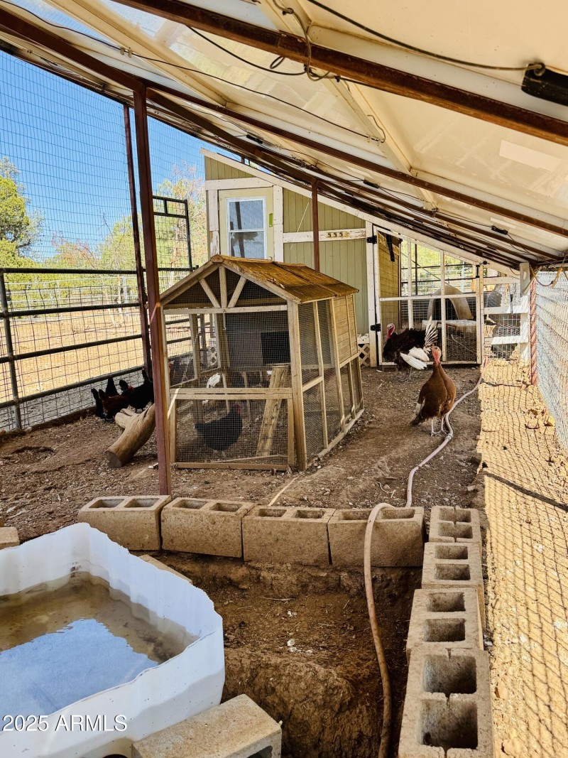 2nd part chicken coops