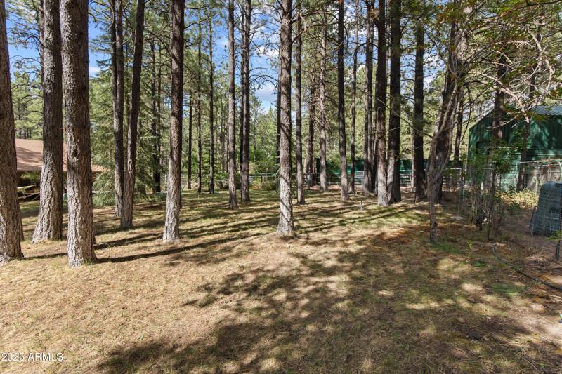 Outdoor relaxing spaces