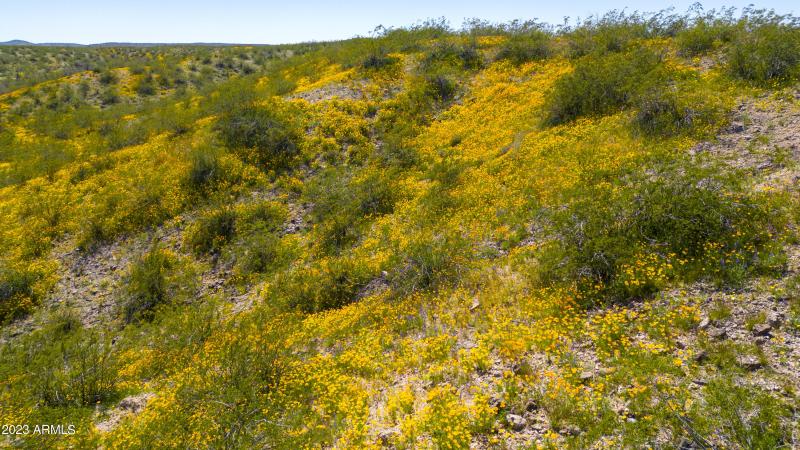 19920 West Verde Hills Dr00120