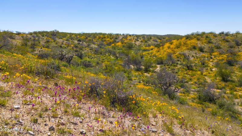 19920 West Verde Hills Dr00121