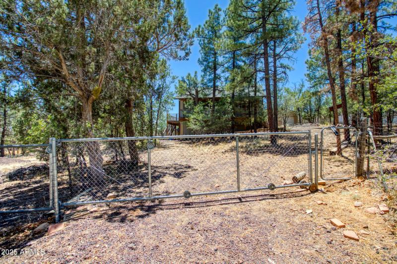 paxmanphoto_PAX_4913