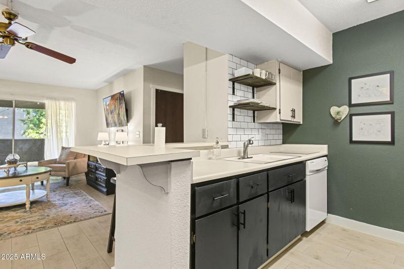 10-web-or-mls-4444-e-paradise-village-pk