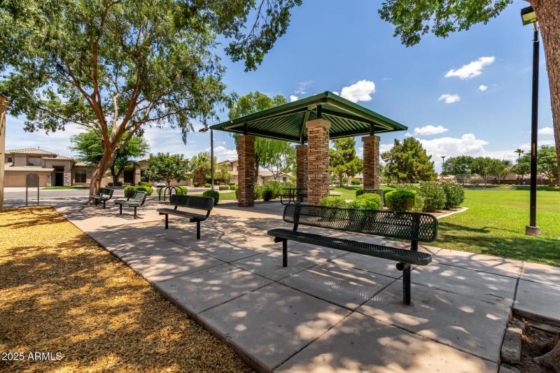 53- 1452 E Saragosa St, Chandler 85225