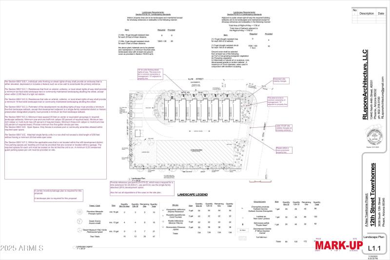 Metro Vista Revised Site Plan Markup-ima