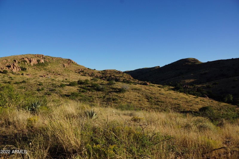 Looking South from Lot 42