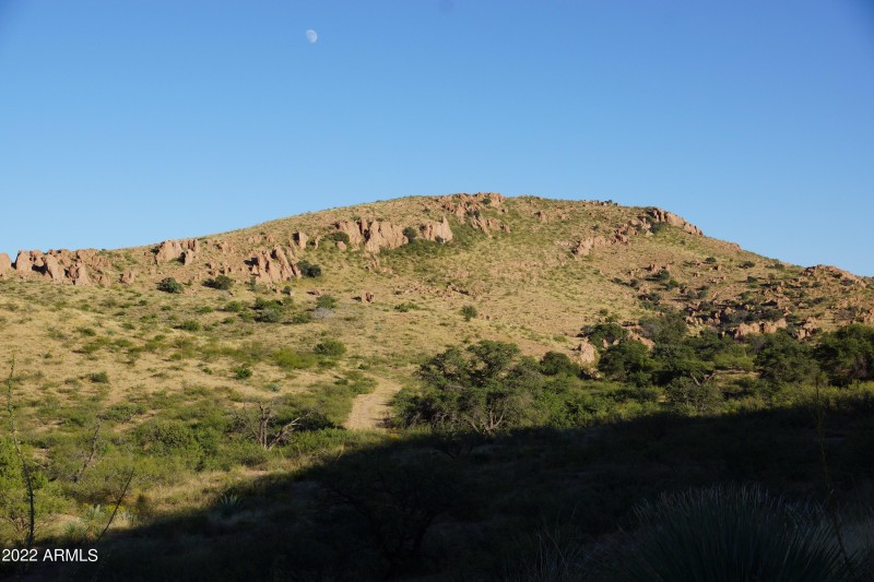 Looking East at Lot 42