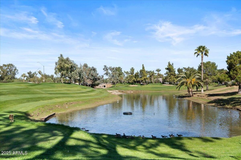 Starfire Golf Club #4 Green