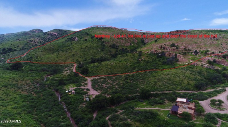 view_013_lot 41_outlined