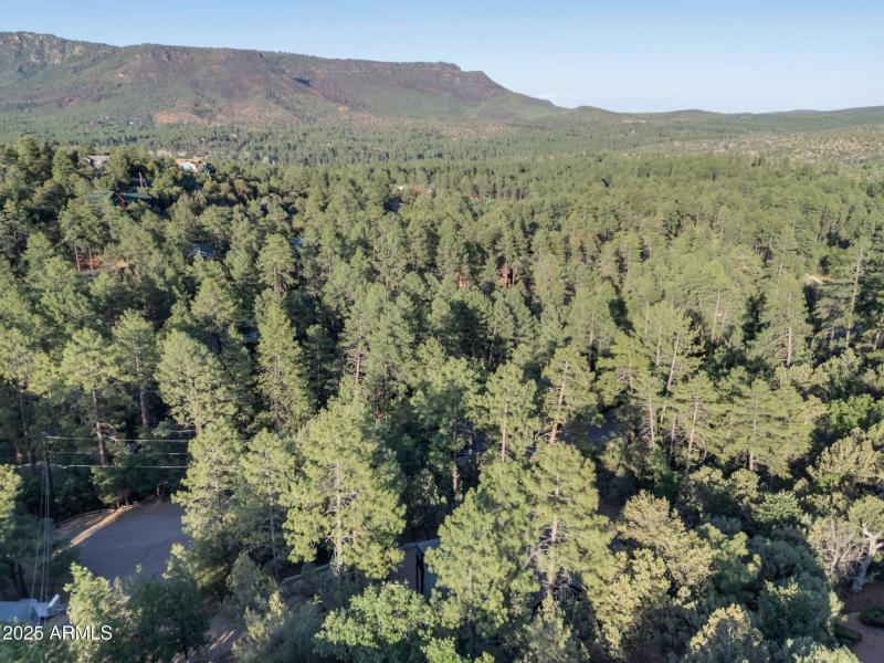 34-web-or-mls-TimberCreekImagery-36