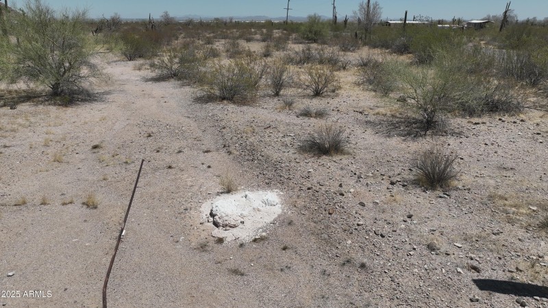 Plata ground level pictures