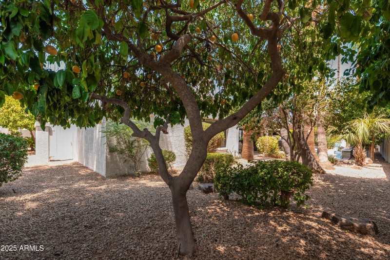 7513 E Buena Terra Way - 57