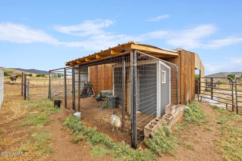 Chicken Coop_
