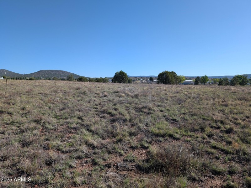 PXL_20250705_151948806