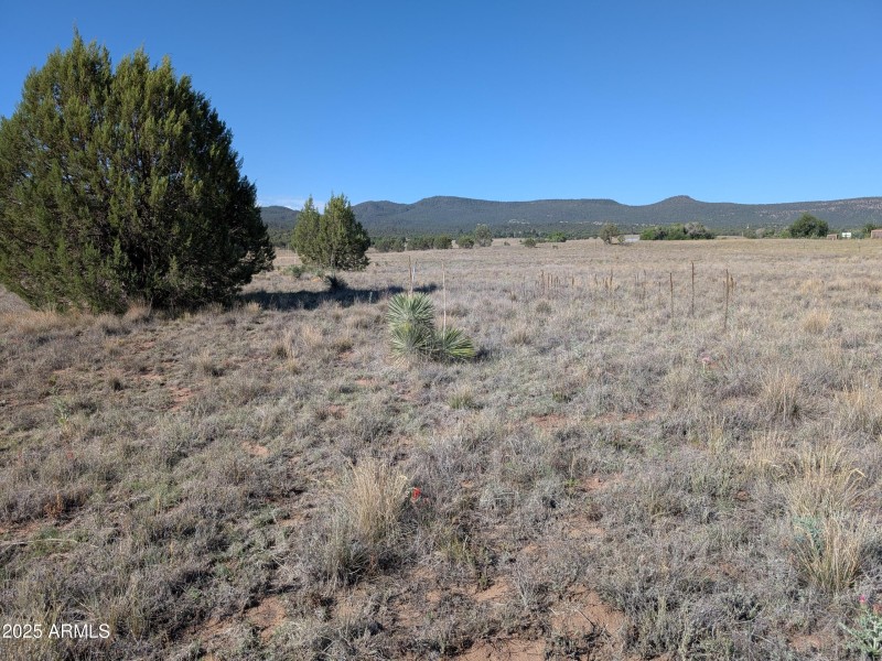 PXL_20250705_152439817