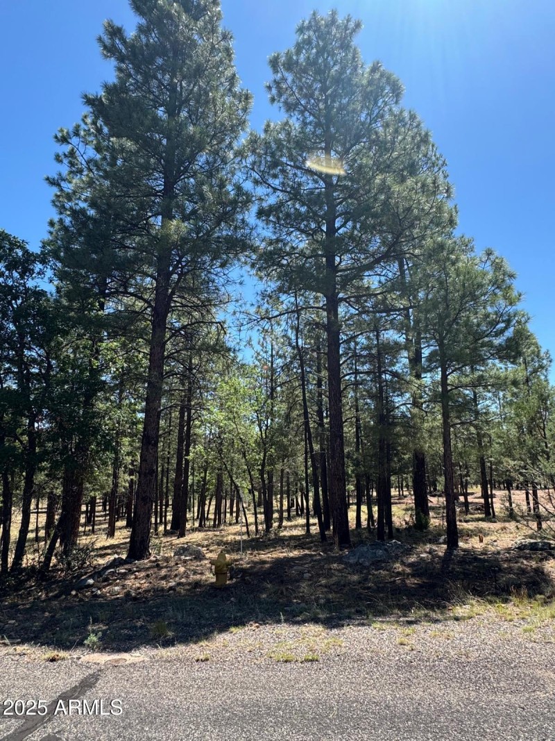 Sparrow Image 2025-07-05 at 11.17.08_103