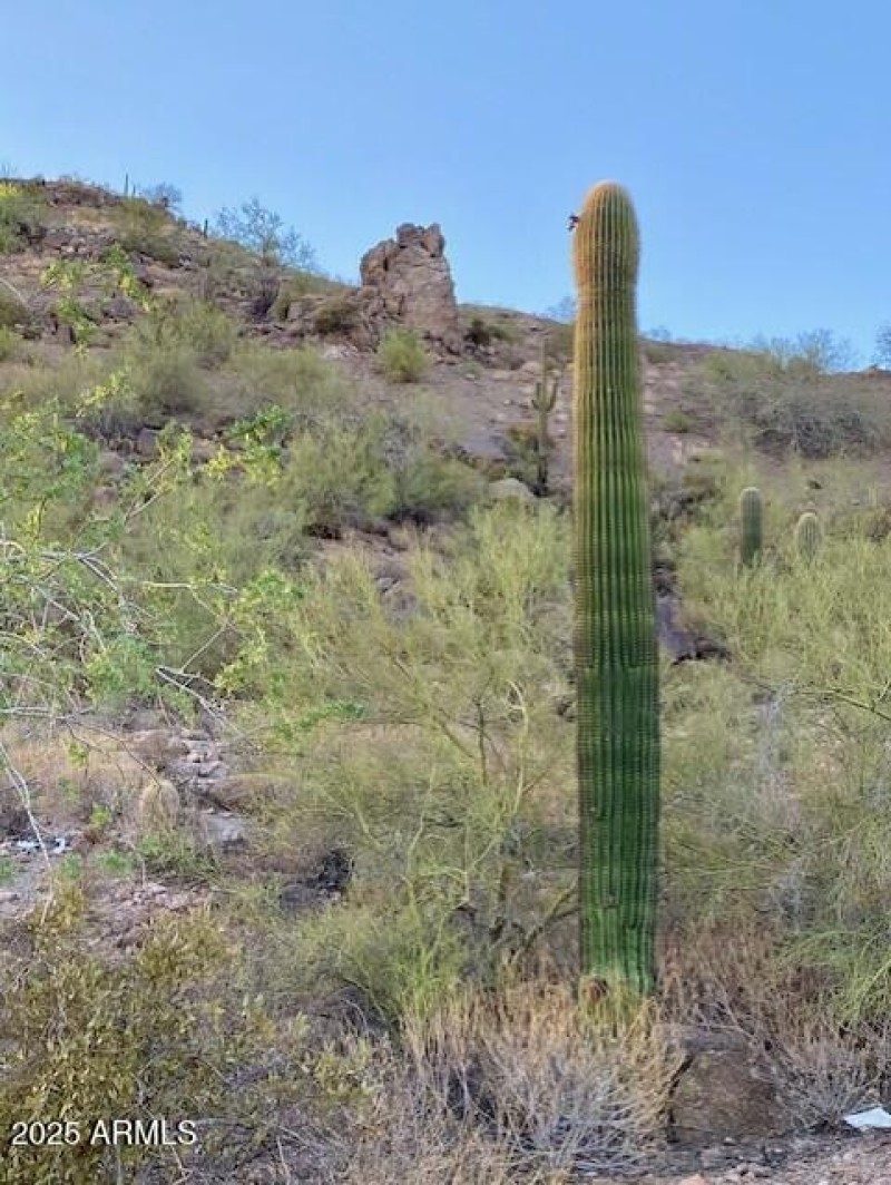 620 W. Tonto Photo 23