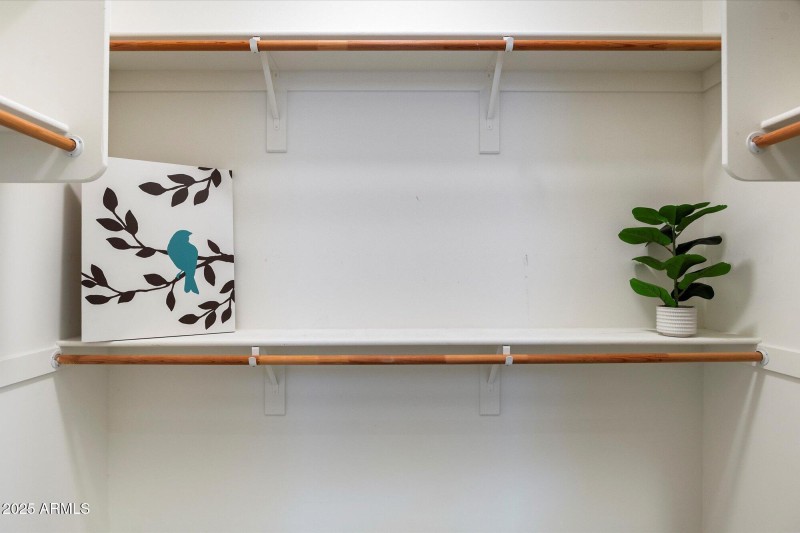 Jr Primary Suite Walk-In Closet