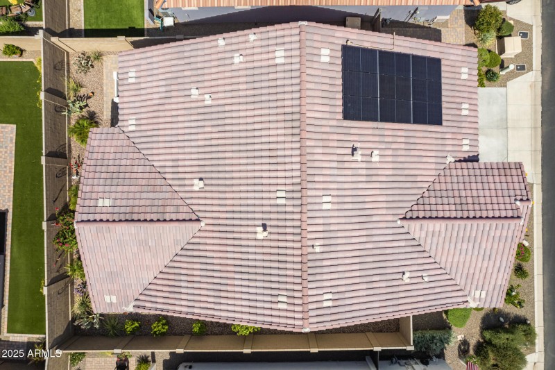 41 - Brittlewood Drone