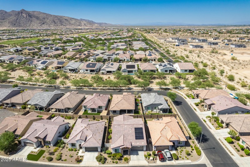 46 - Brittlewood Drone