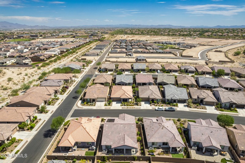 49 - Brittlewood Drone