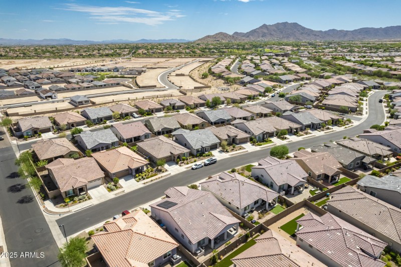 50 - Brittlewood Drone