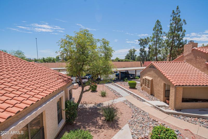 craigrootimaging_2104-31