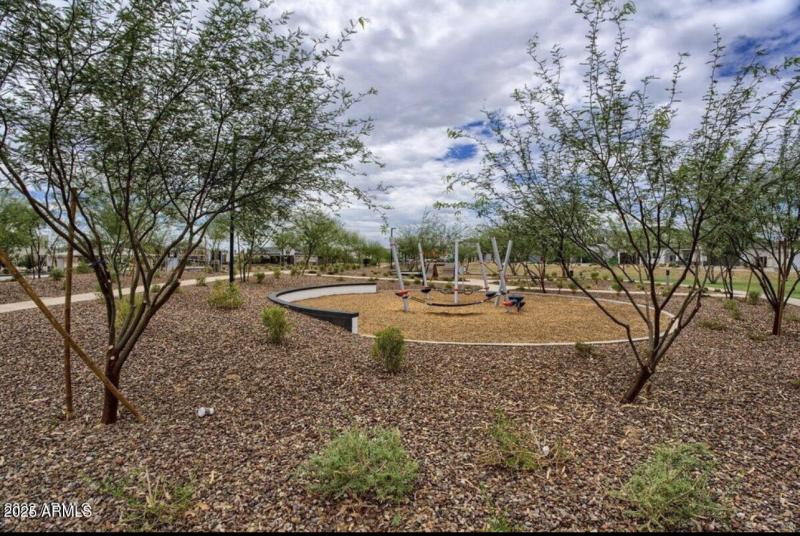 Community Playground