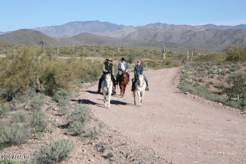 Lake Pleasant Trail Riding on Cow Creek
