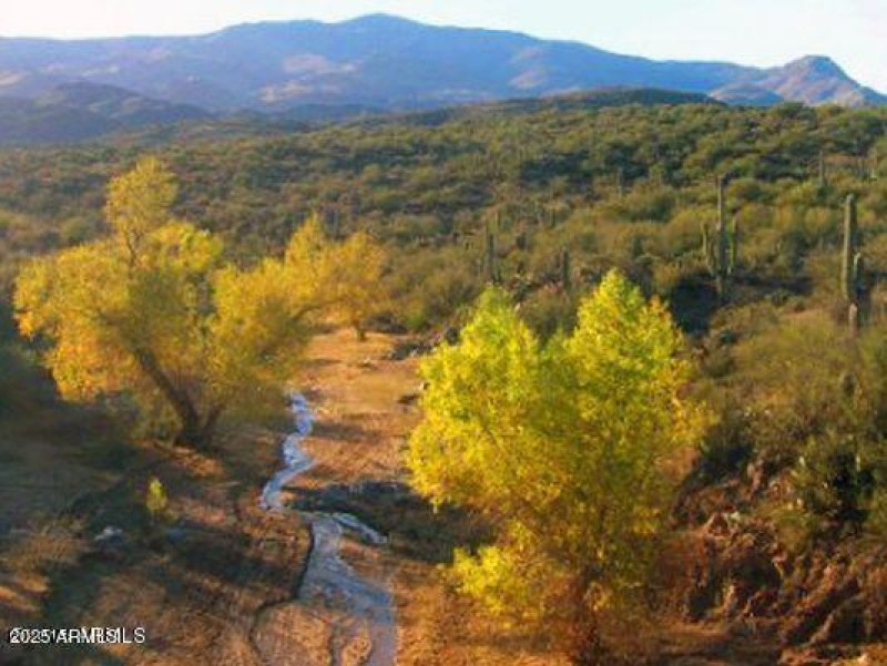 Lake Pleasant Photo - Photo of area of P