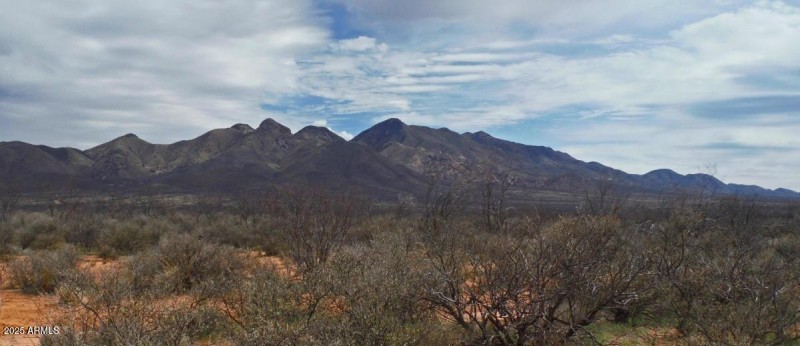 10683 N WIEGAND PRATT RD