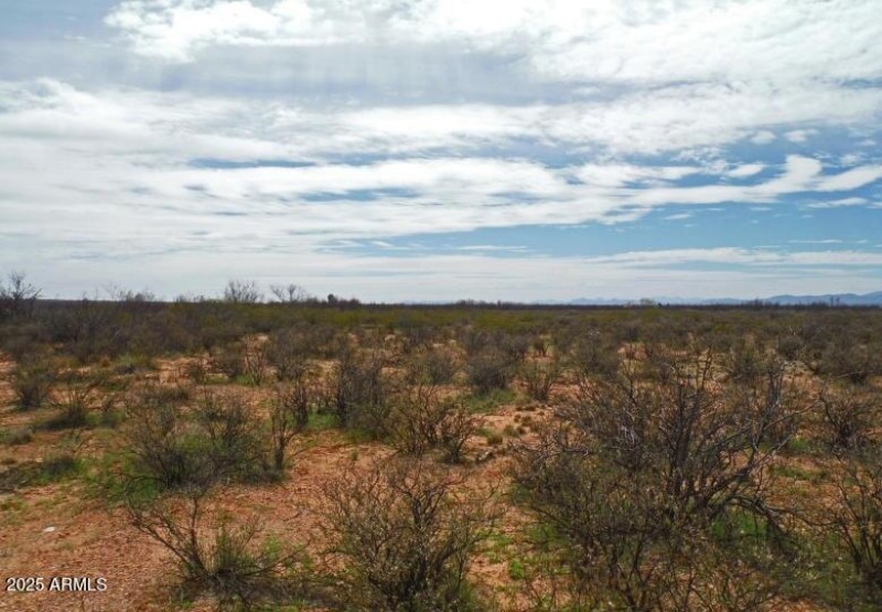 10683 N WIEGAND PRATT RD