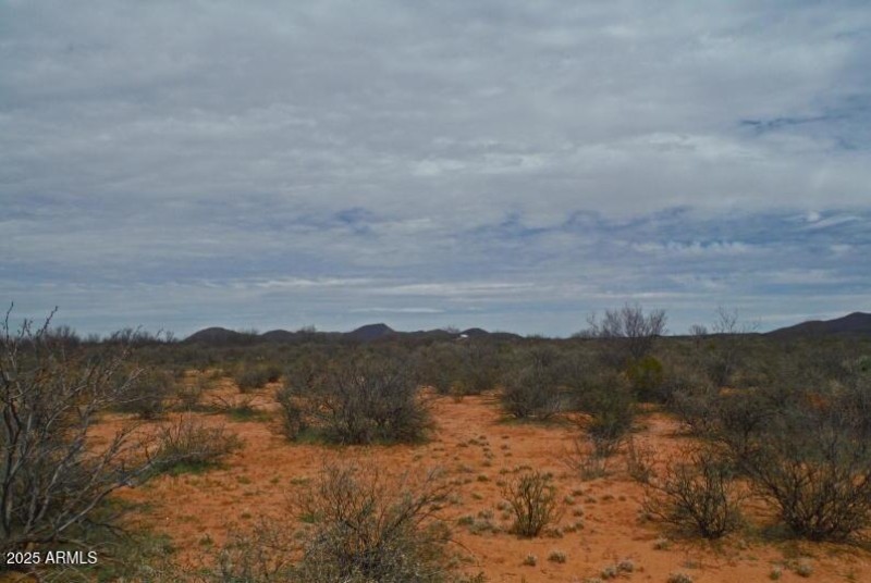 10683 N WIEGAND PRATT RD