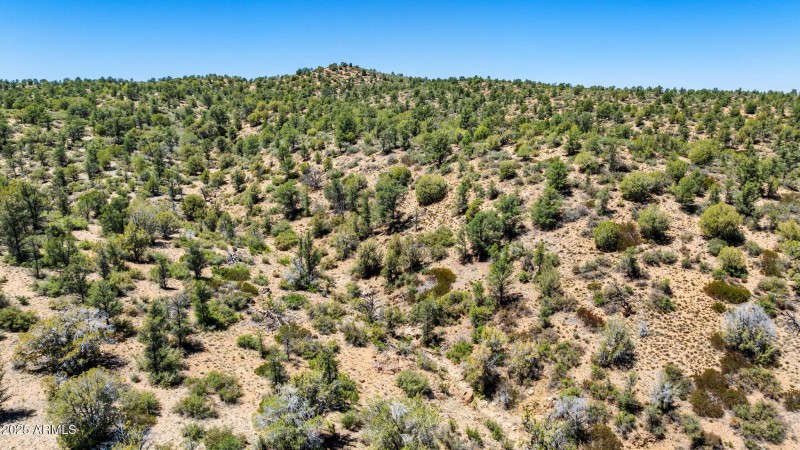 43-Lot Photo (1) (2)