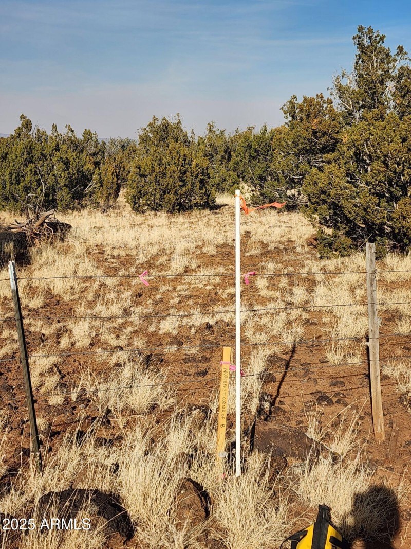 6A- NE corner of Parcel D