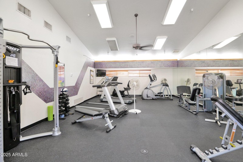 52-web-or-mls-P1246074