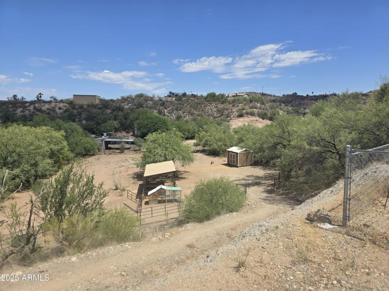 Mockingbird Shields 2