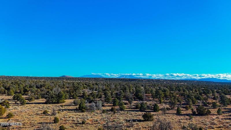 20250401070402691007000000-o