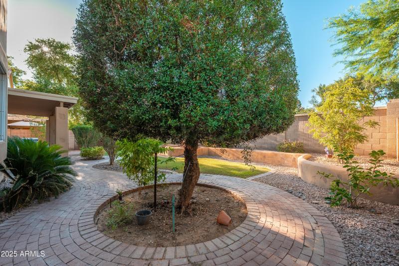 1770 W Mulberry Dr - 46