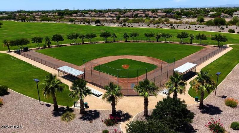 Open Fields & Baseball