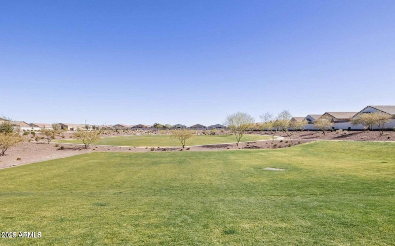 Grassy playground area