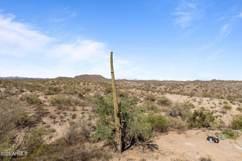 33-web-or-mls-DSC07294