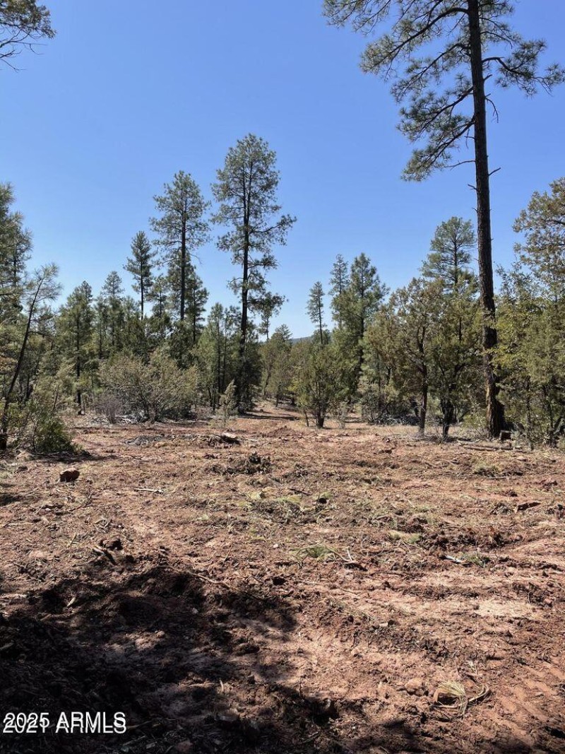 20211117213452715858000000-o