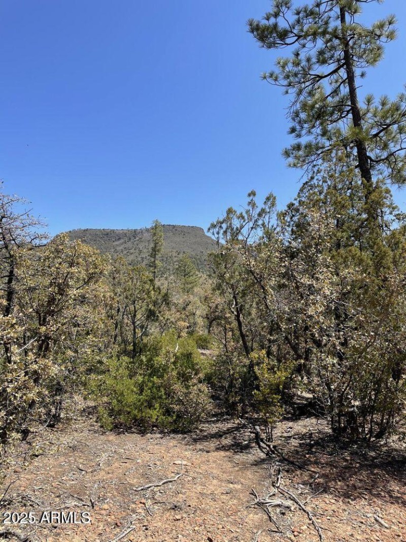 20211117213453381995000000-o