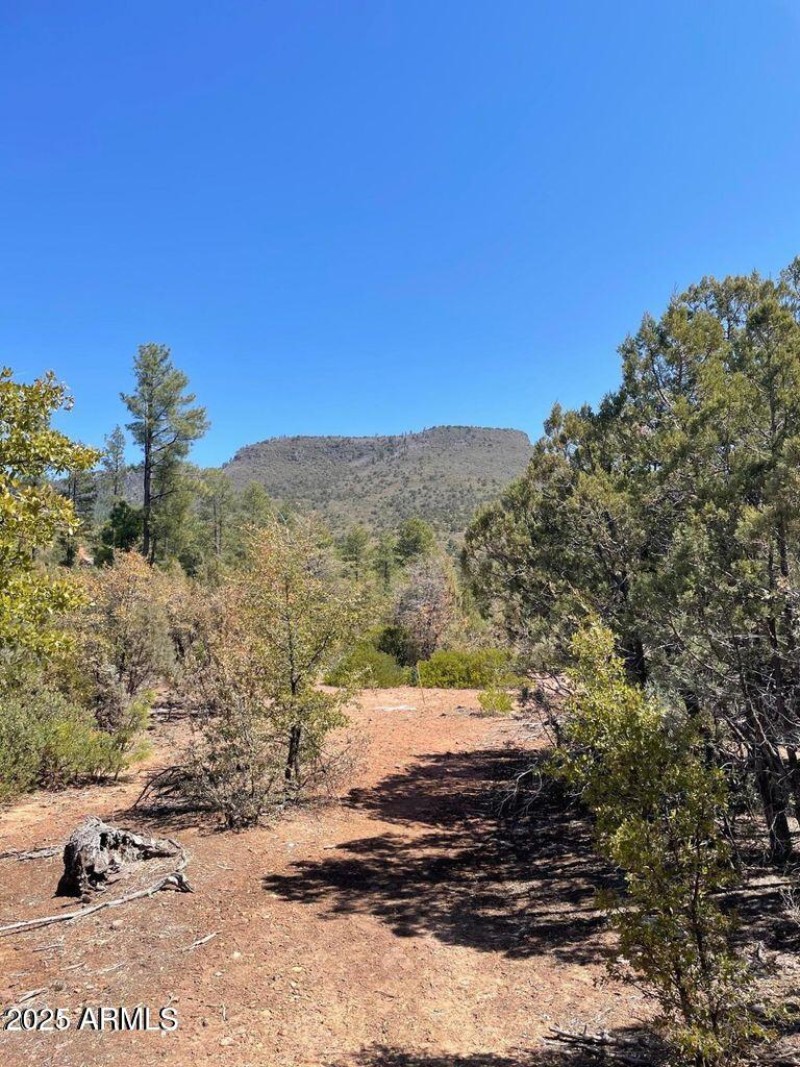 20211117213453062491000000-o