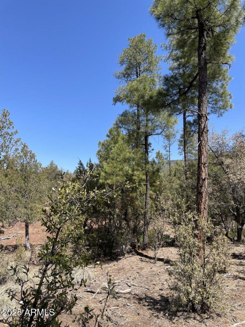 20211117213452919873000000-o