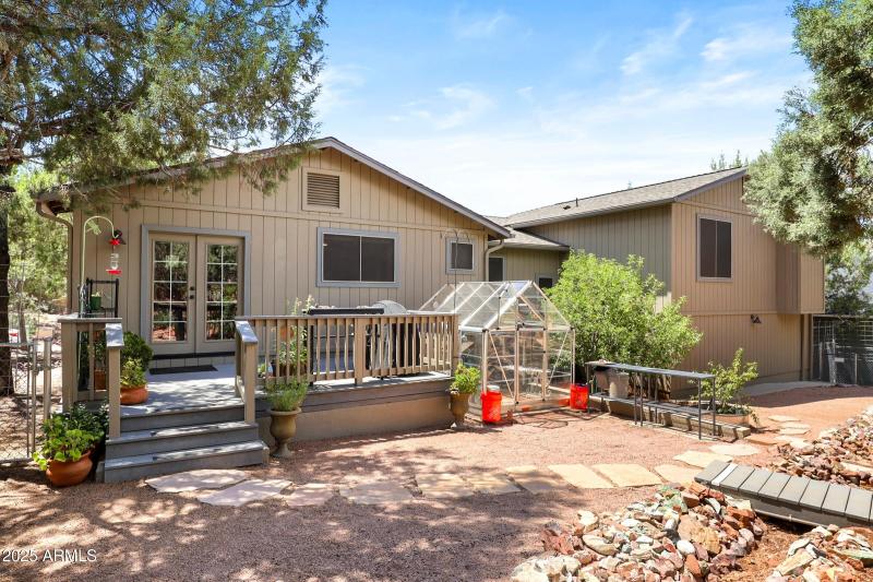 Fruit Trees in Back Yard