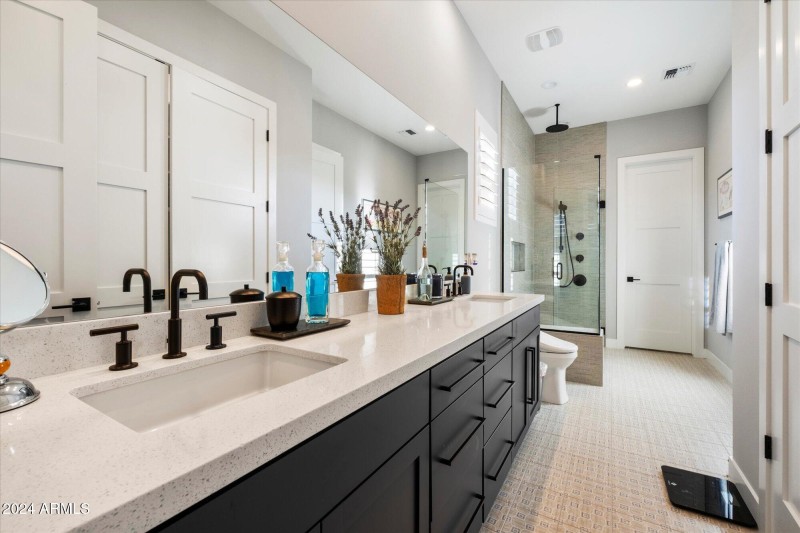 In-Law Suite Bathroom